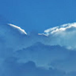 Meet your Posher, Bonnie